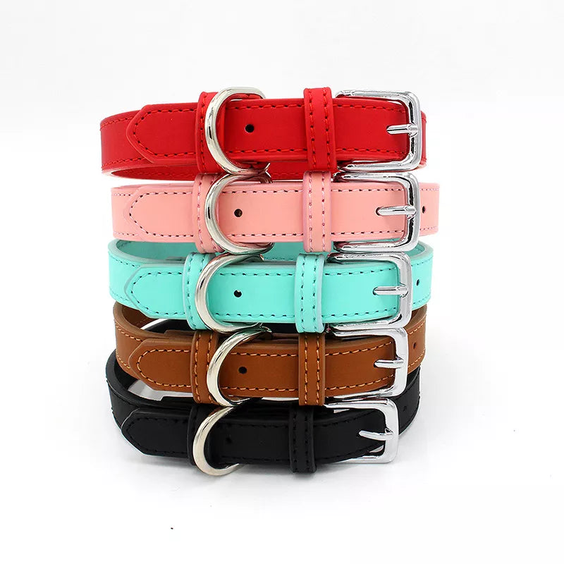 Pets Accessories