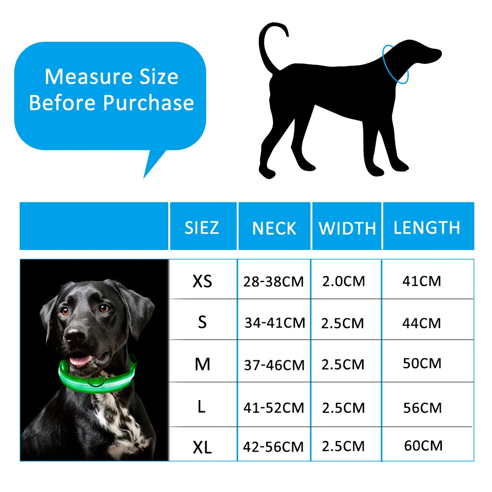 Pets Collar LED
