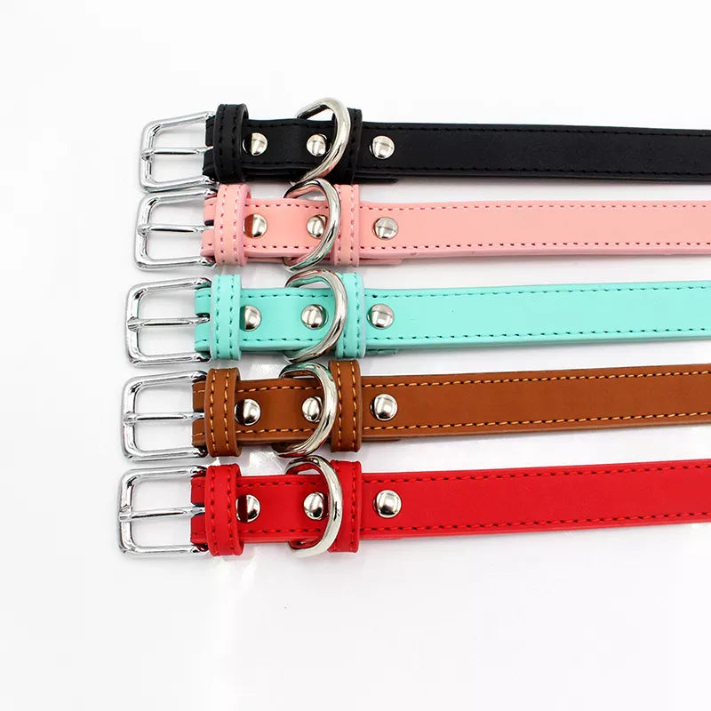 Pets Accessories