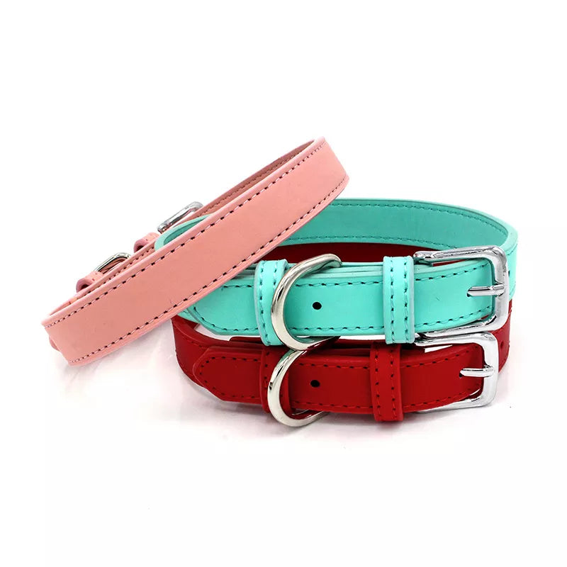 Pets Accessories