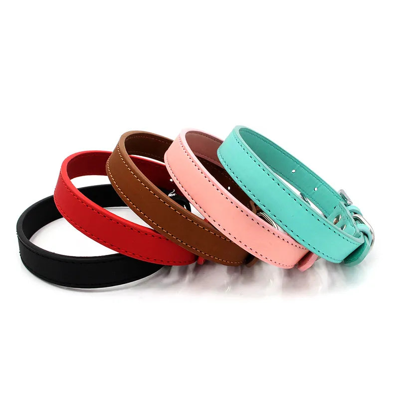 Pets Accessories