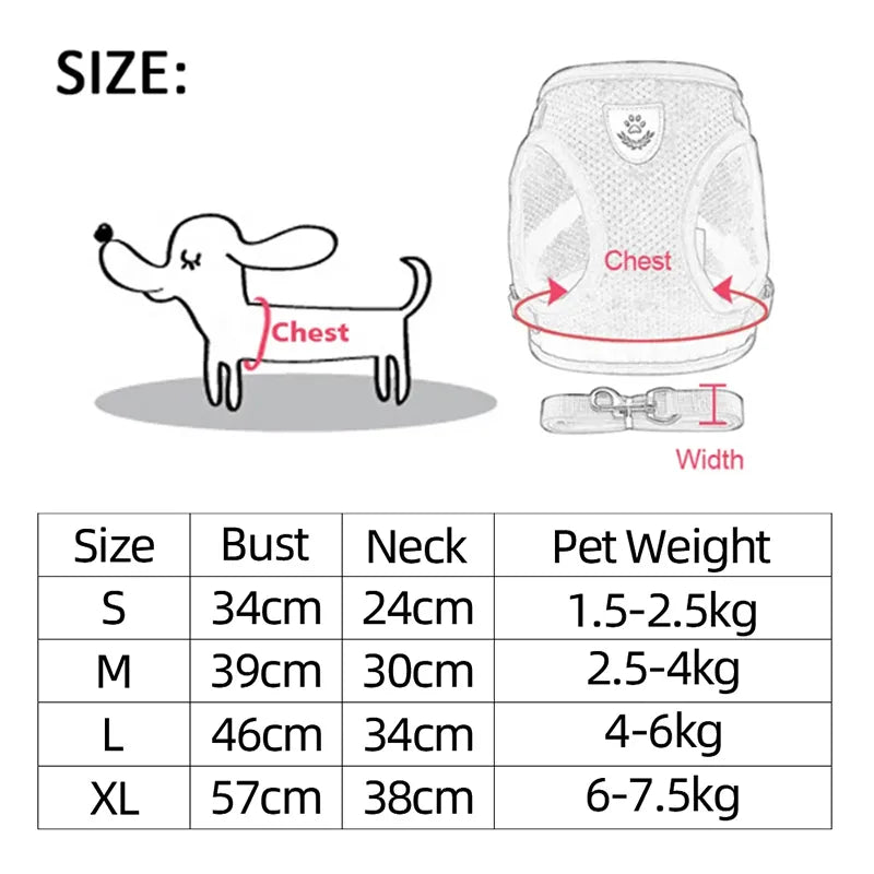 Pets Accessories