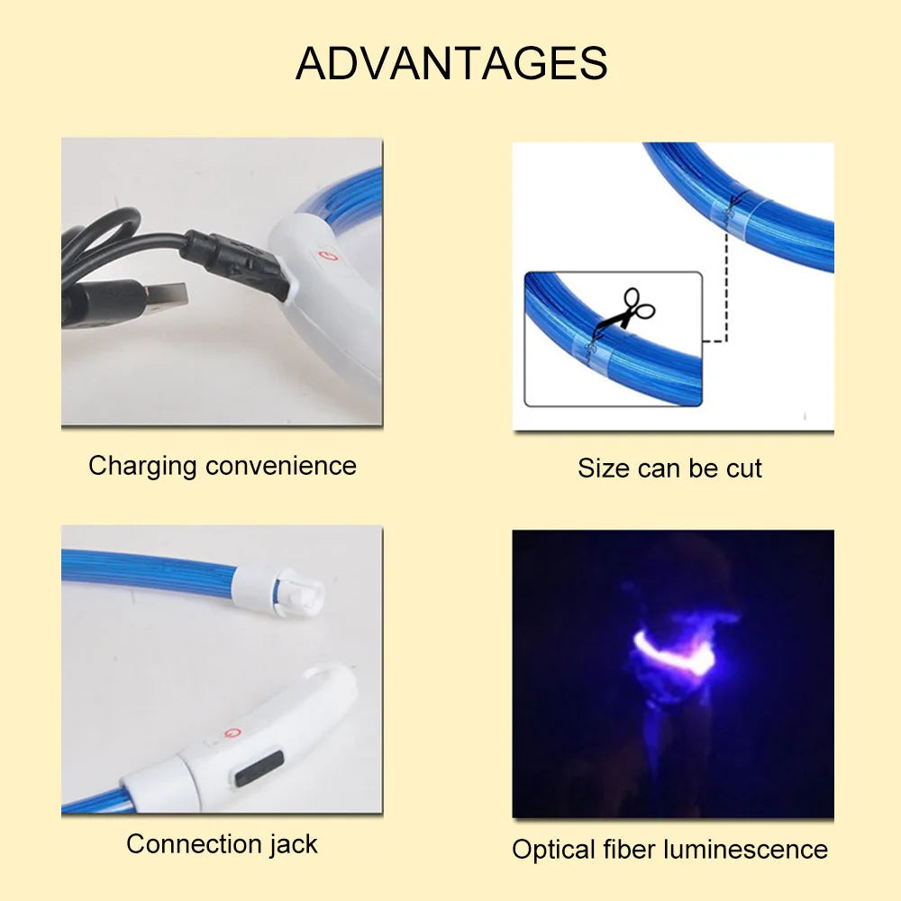 Led Pets Collar Luminous Usb