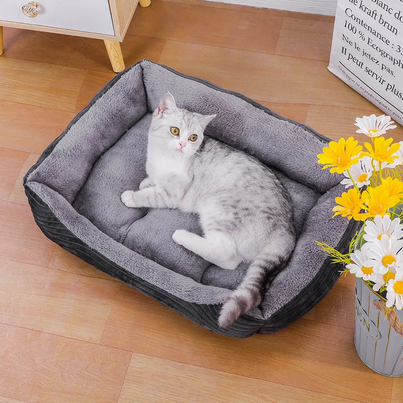 Bed for Pets