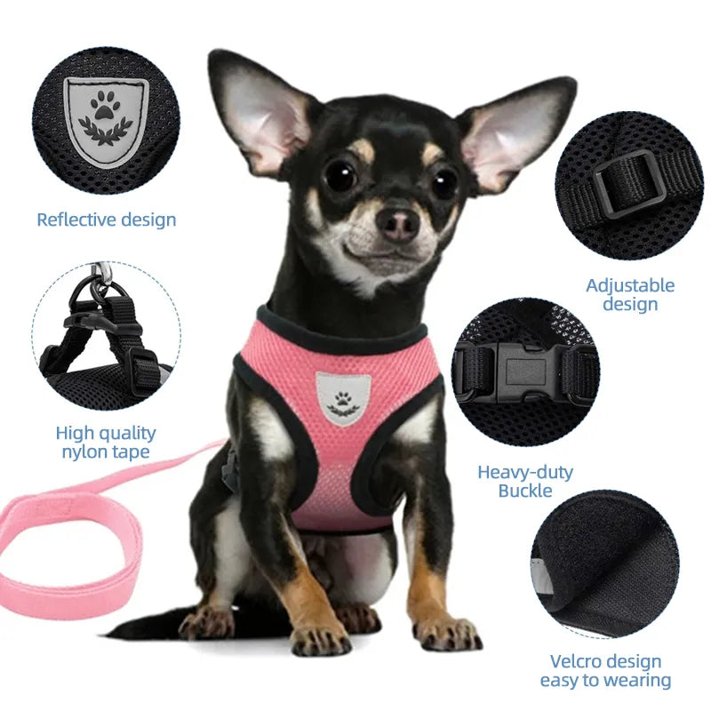 Pets Accessories