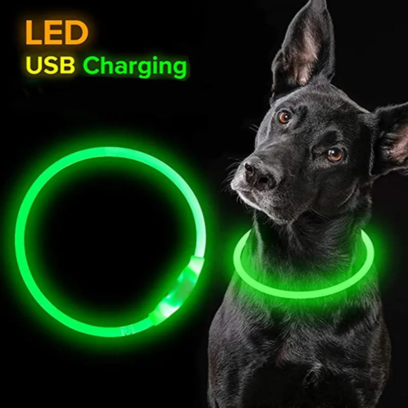 Led Pets Collar Luminous Usb