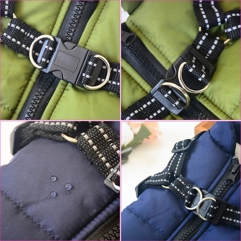 Pet Dog Jacket For All Type of Dogs - admstore