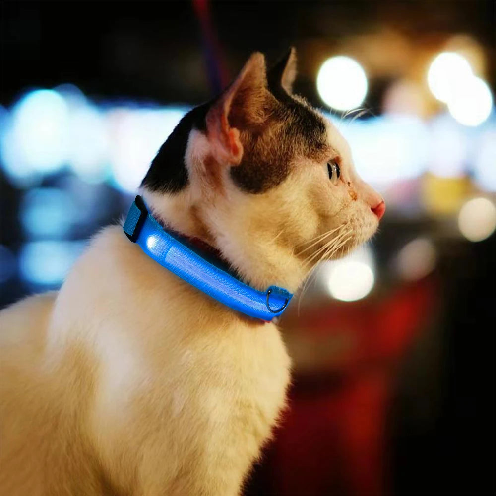 Pets Collar LED