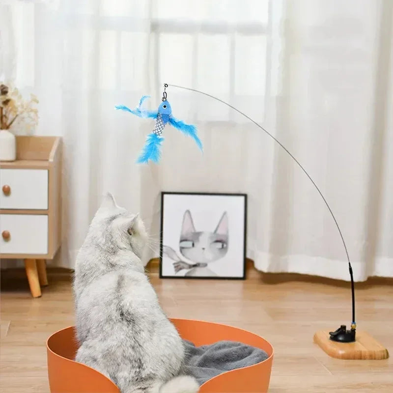 Pets Accessories