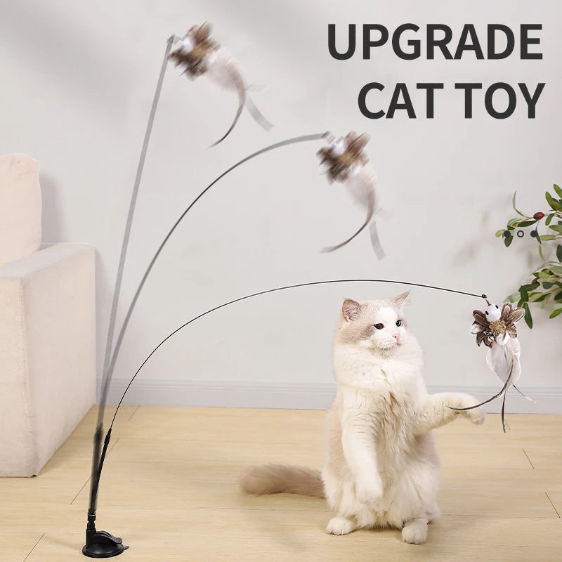 Pets Accessories