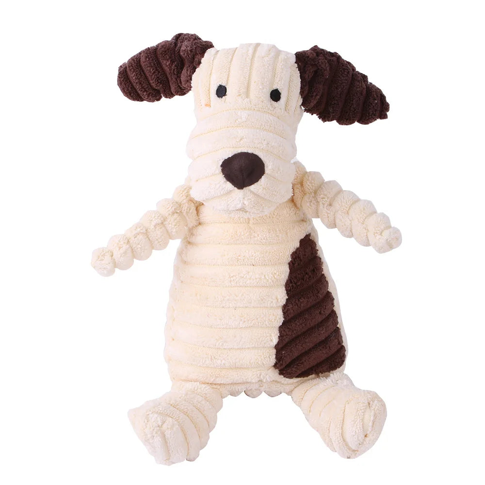 Pets Accessories