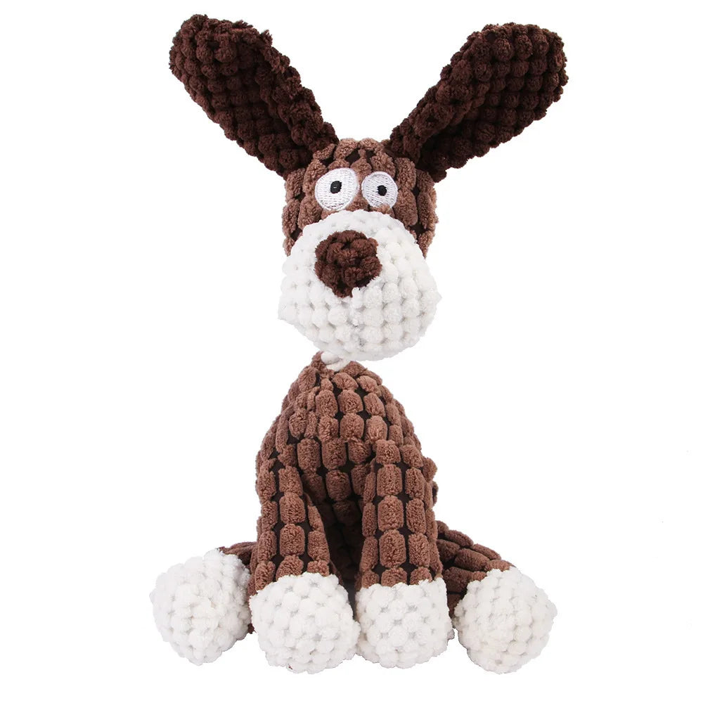 Pets Accessories