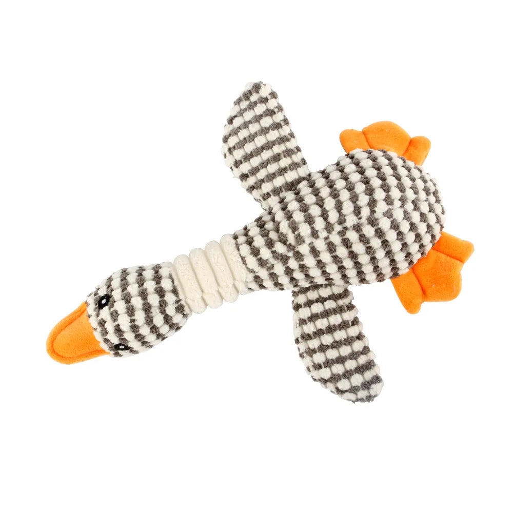 Pets Accessories