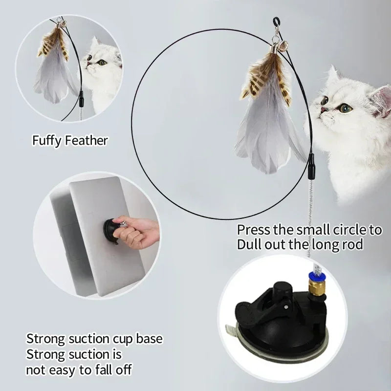 Pets Accessories