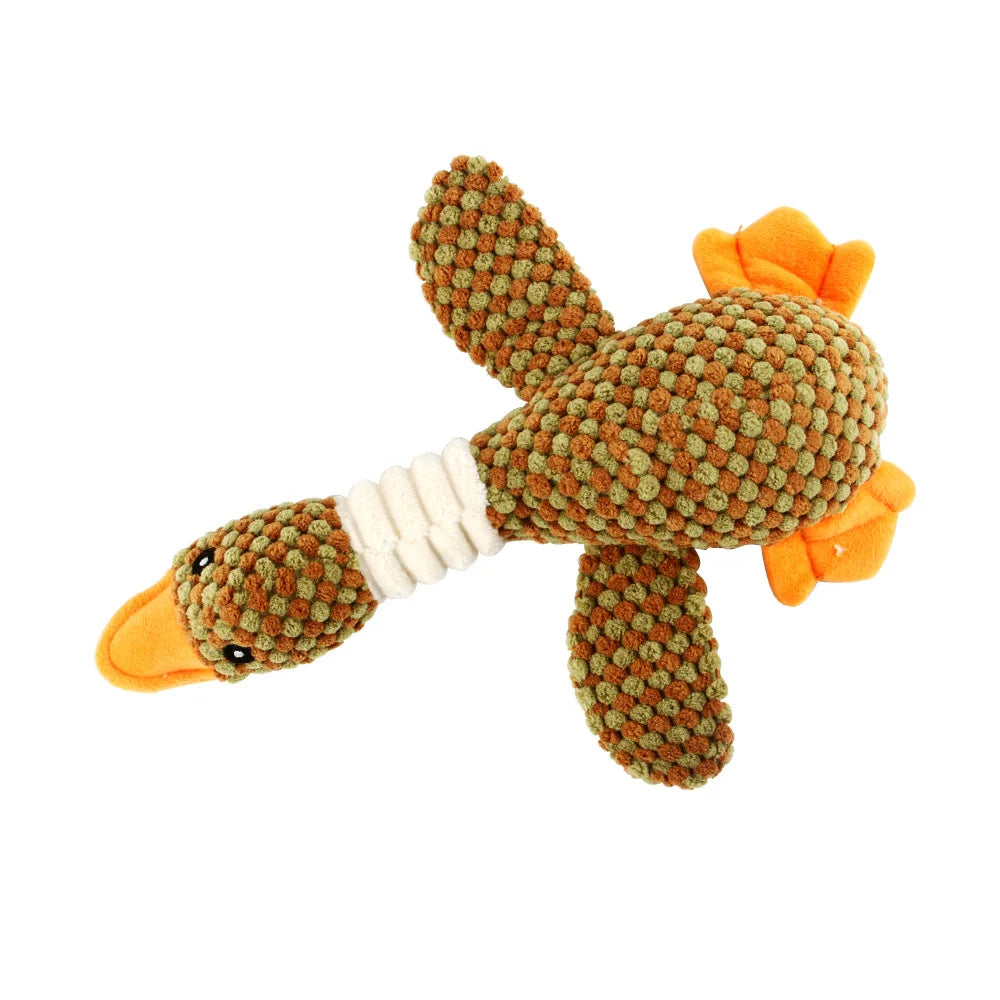 Pets Accessories