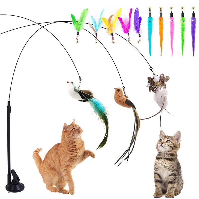 Pets Accessories